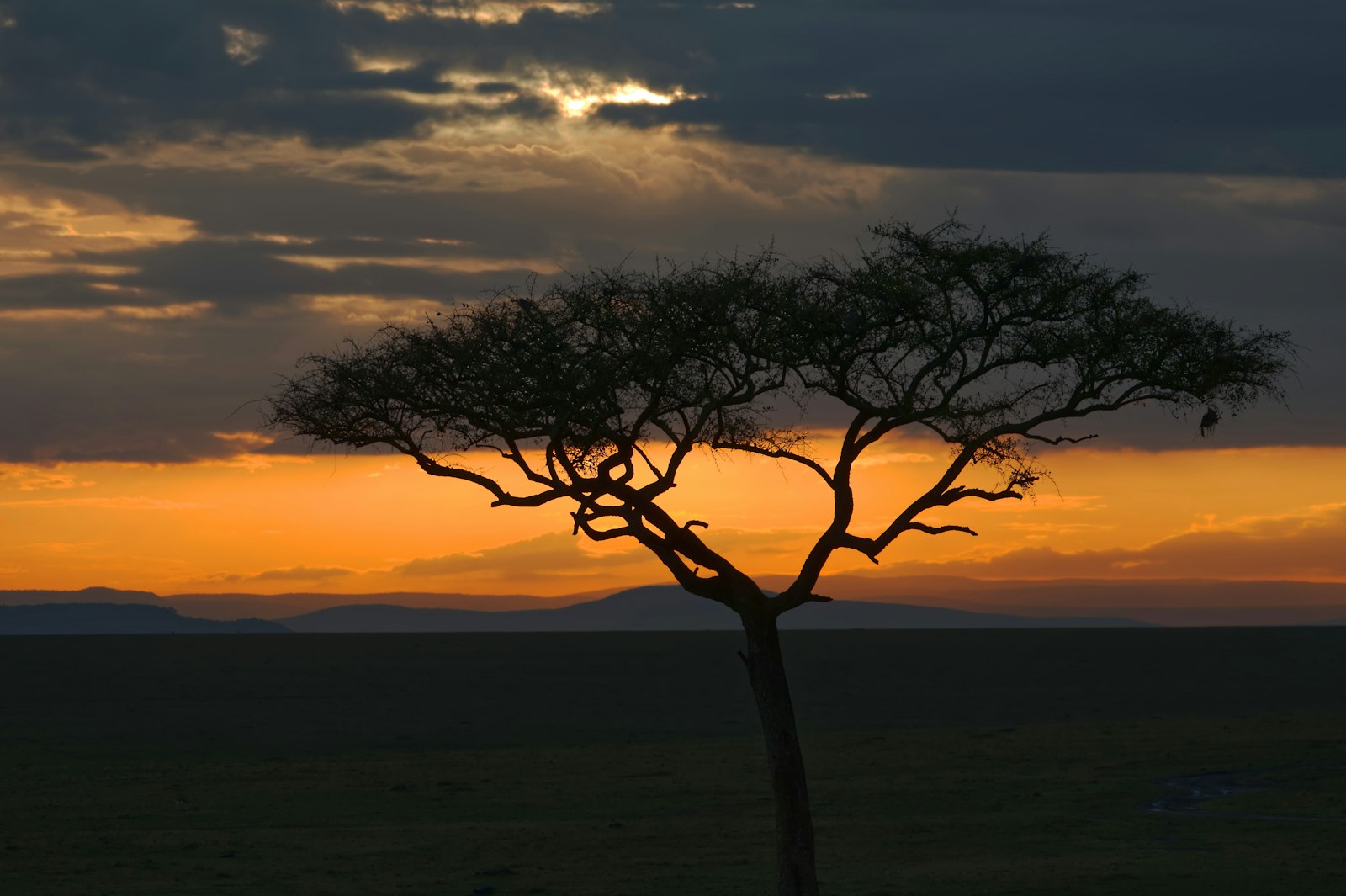 Arrival in Arusha